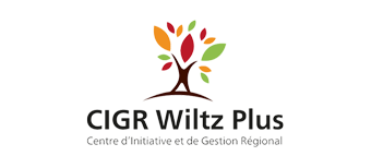logo_Cigr