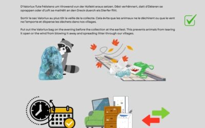 Gëlle Reegelen Ofallkollecte – Règles d&rsquo;or collecte des déchets